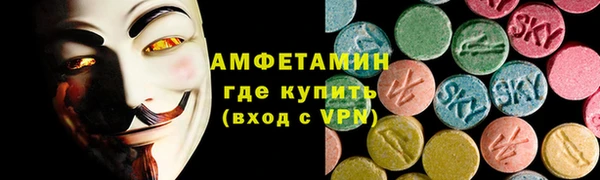 ECSTASY Алзамай