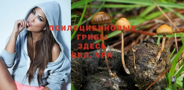 гидропоника Алексин
