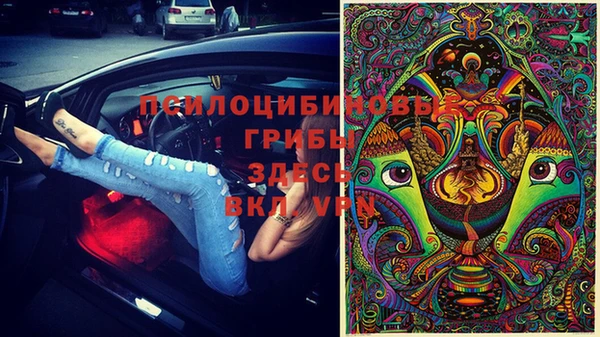 гидропоника Алексин